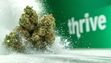 Thrive Cannabis Opens South Reno's First Dispensary, Filling a Gap Below Plumb Lane
